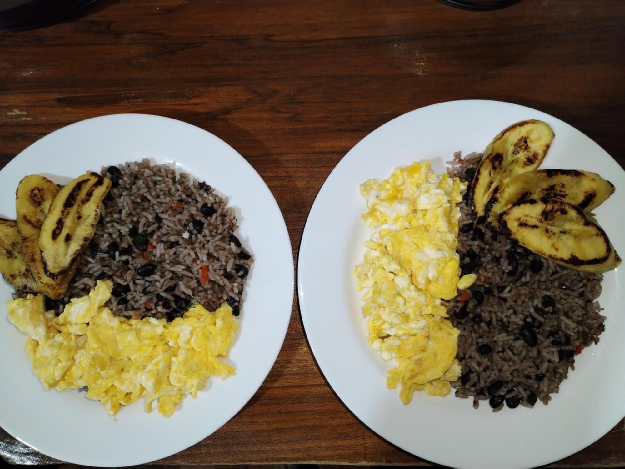 Bed and Breakfast Osa House - Drake Corcovado Tours Drakes Bay Esterno foto