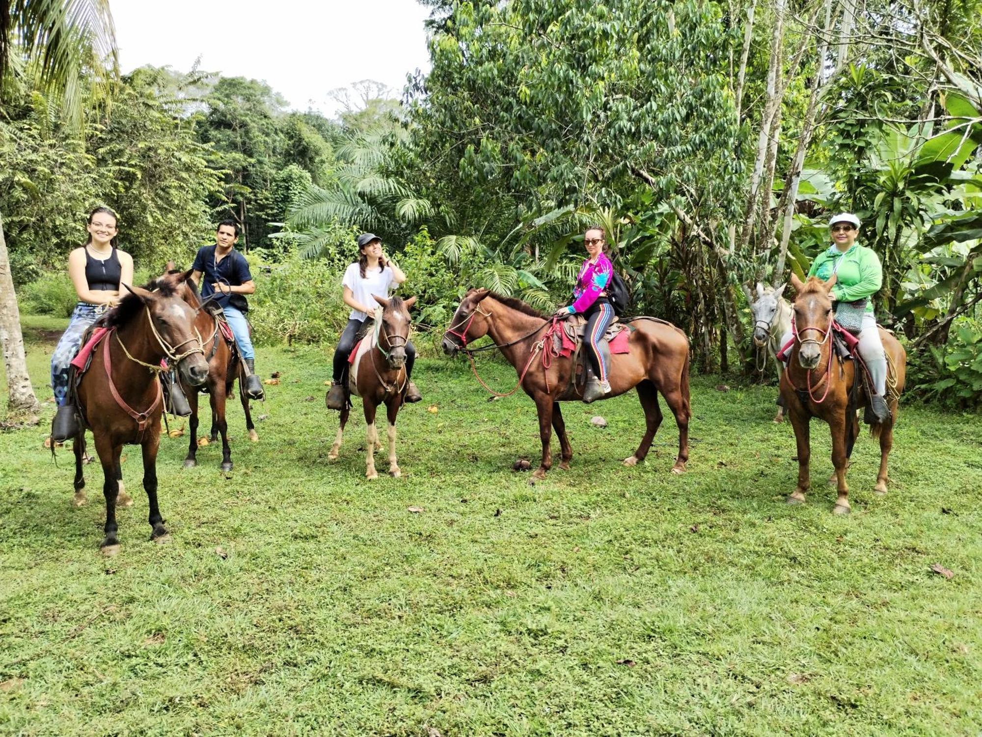 Bed and Breakfast Osa House - Drake Corcovado Tours Drakes Bay Esterno foto