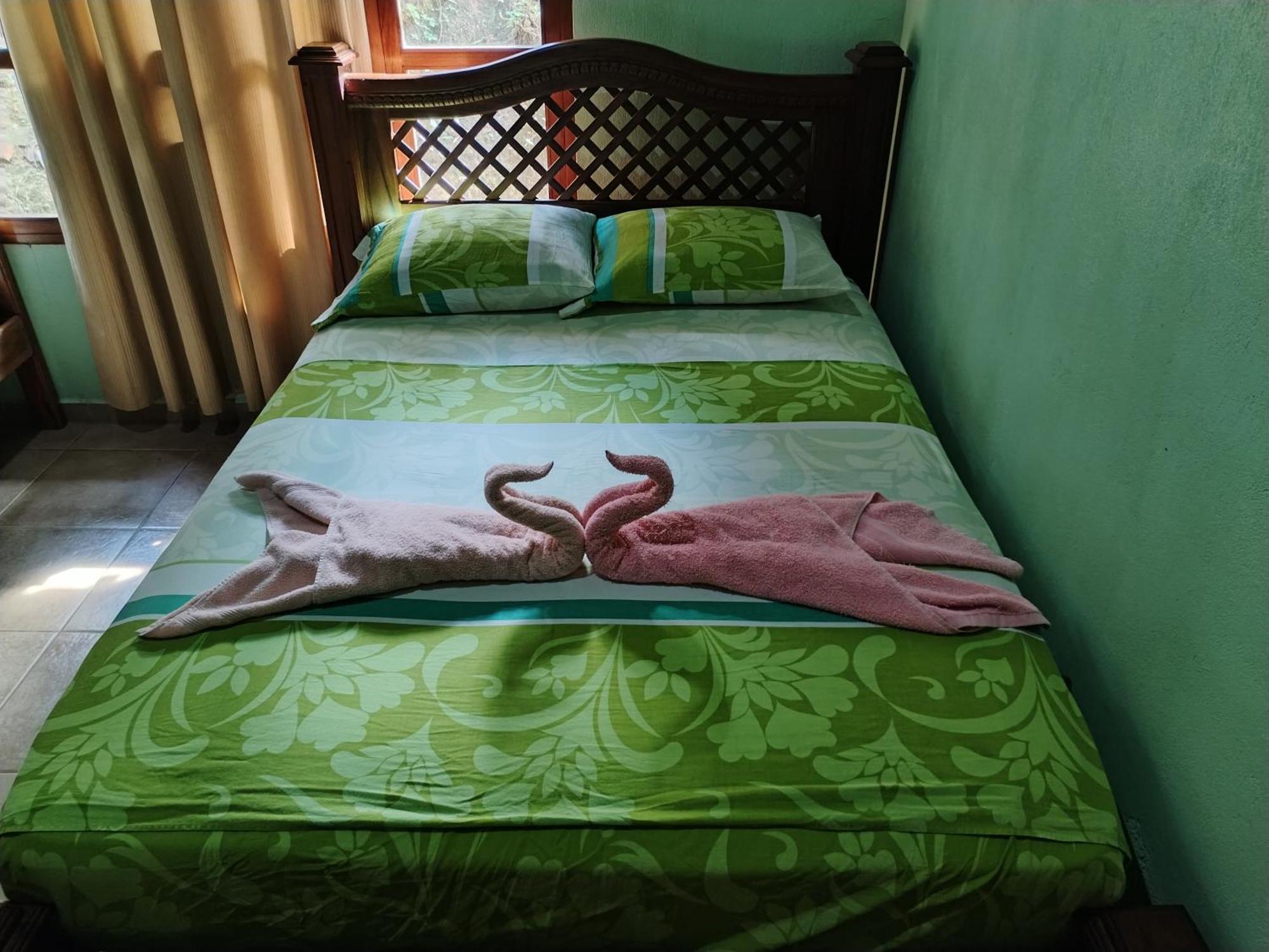 Bed and Breakfast Osa House - Drake Corcovado Tours Drakes Bay Esterno foto