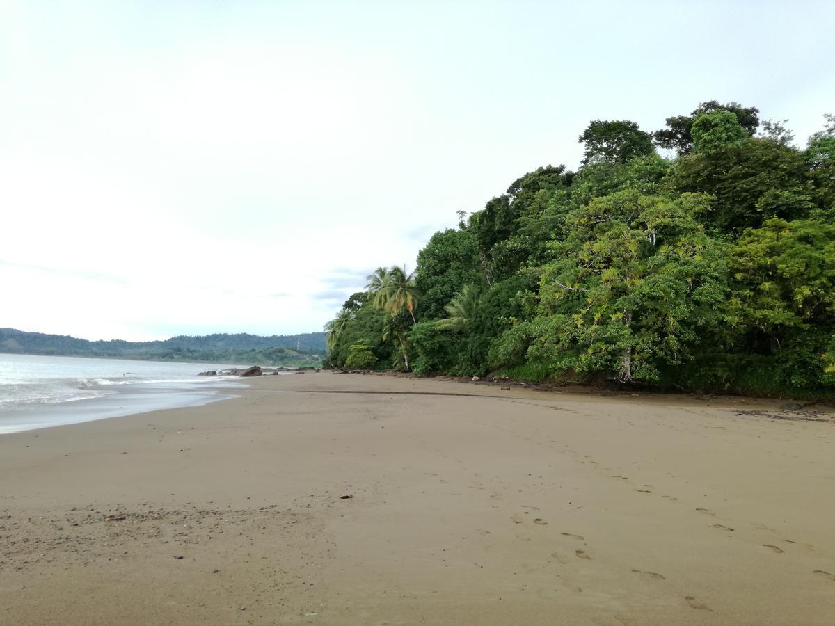 Bed and Breakfast Osa House - Drake Corcovado Tours Drakes Bay Esterno foto